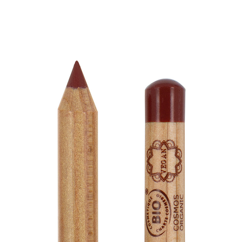 LIP LINER - 06 Acajou