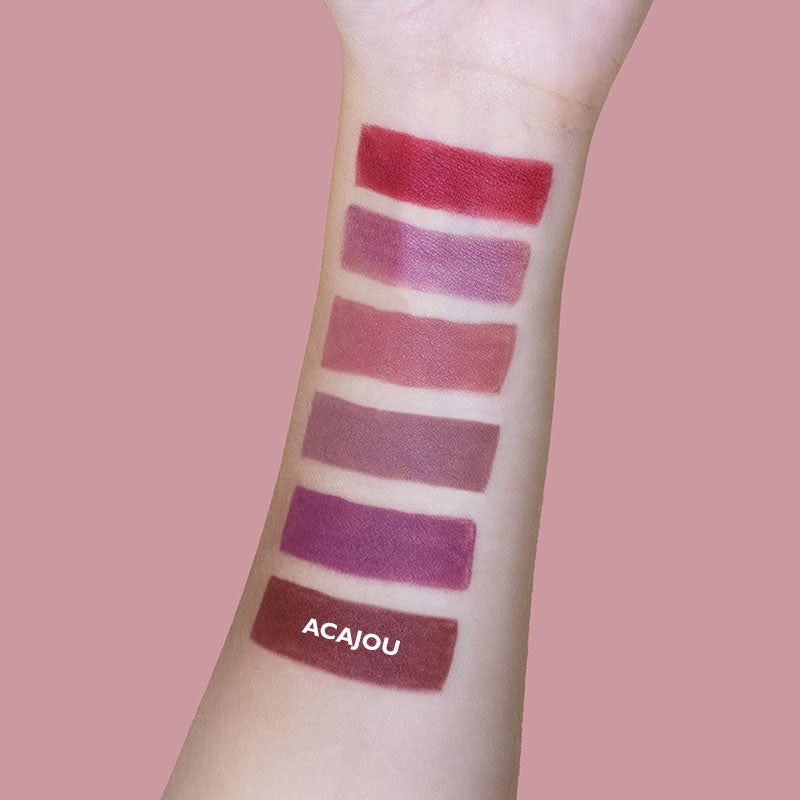 LIP LINER - 06 Acajou